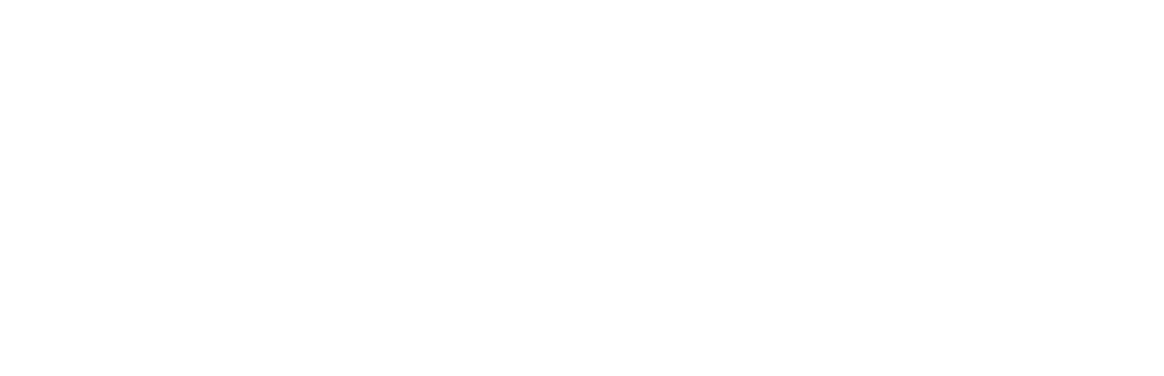 Bloom Holding logo